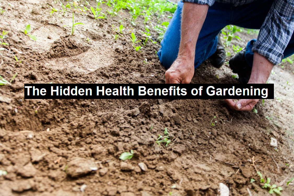 Benefits of Gardening