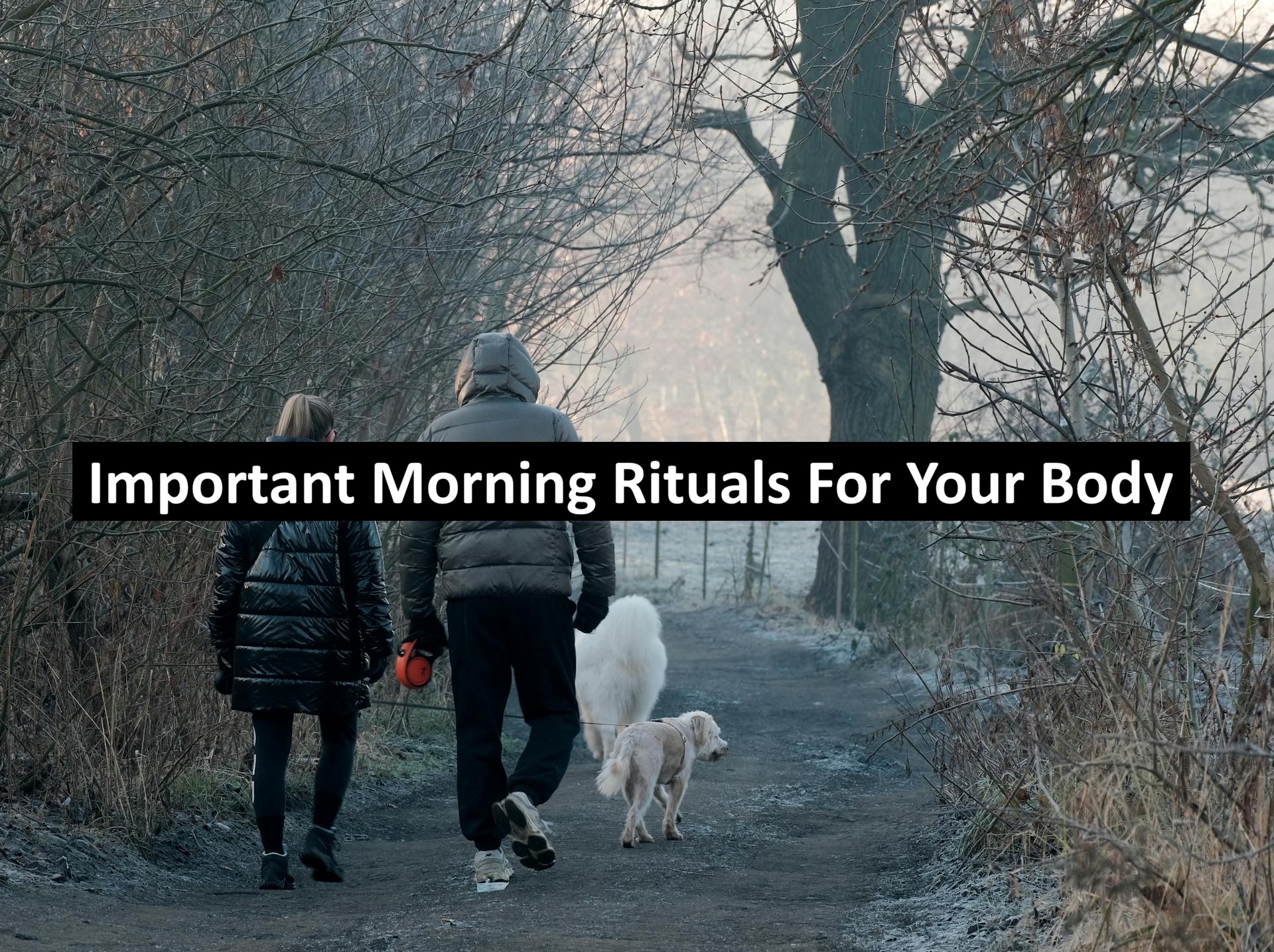 Important Morning Rituals For Your Body